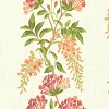 Eleanor Sherbet 72
